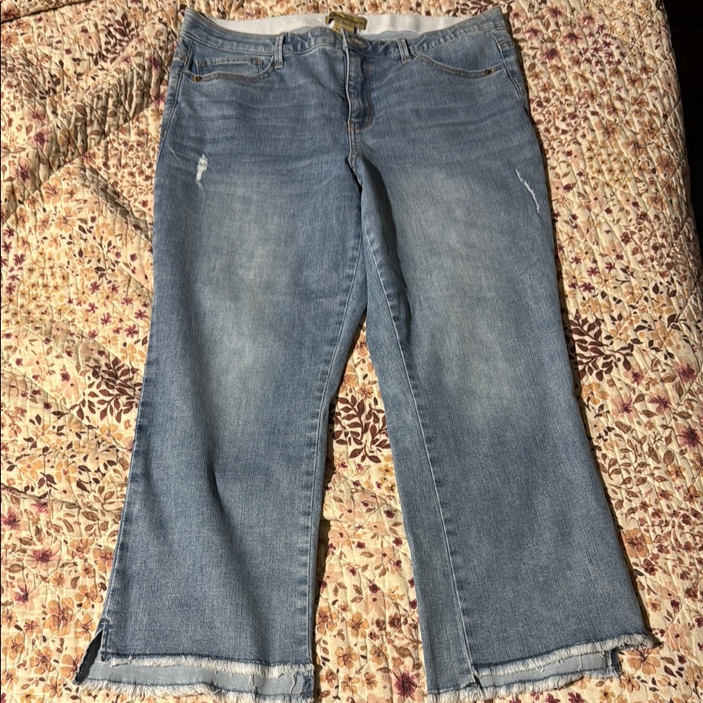 Democracy ankle jeans